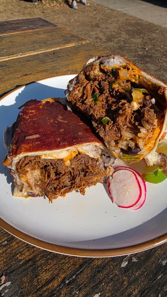 Birria Burrito